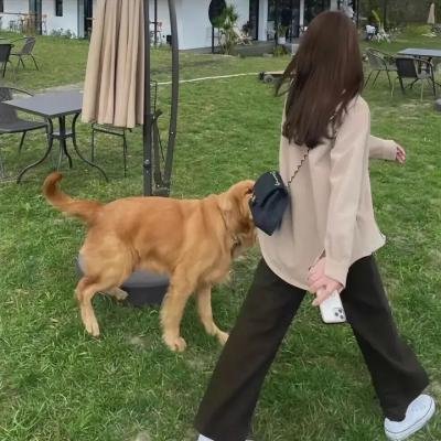 丈夫们，女人们，情人们