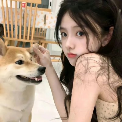 笨金鱼